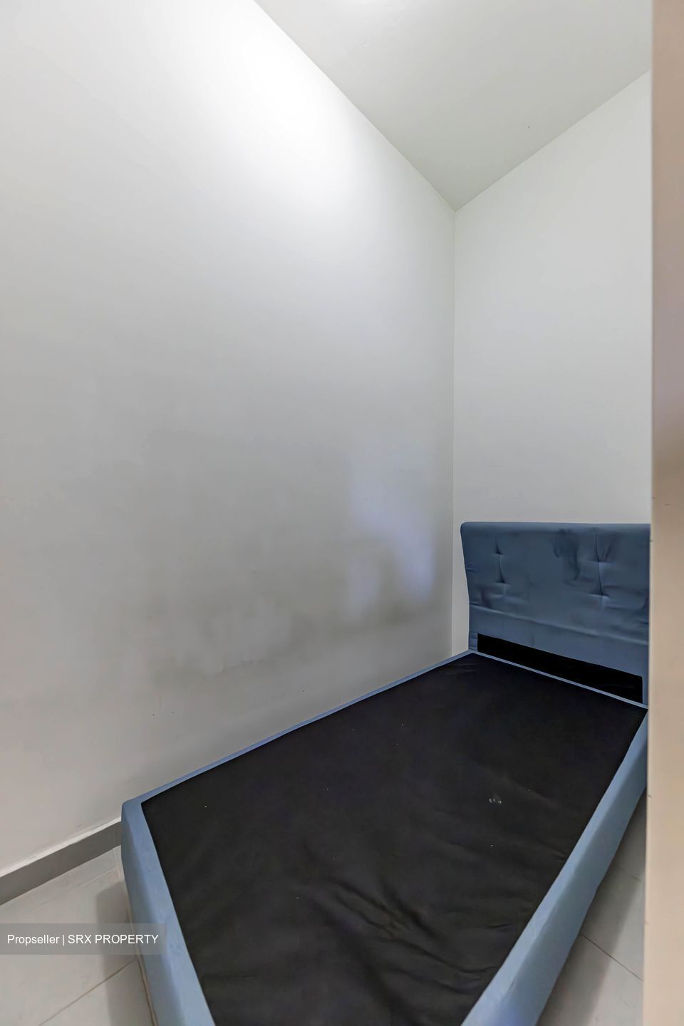 Belle Vue Residences (D9), Condominium #468923801